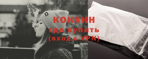 дживик Алзамай