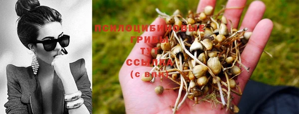 PSILOCYBIN Усинск